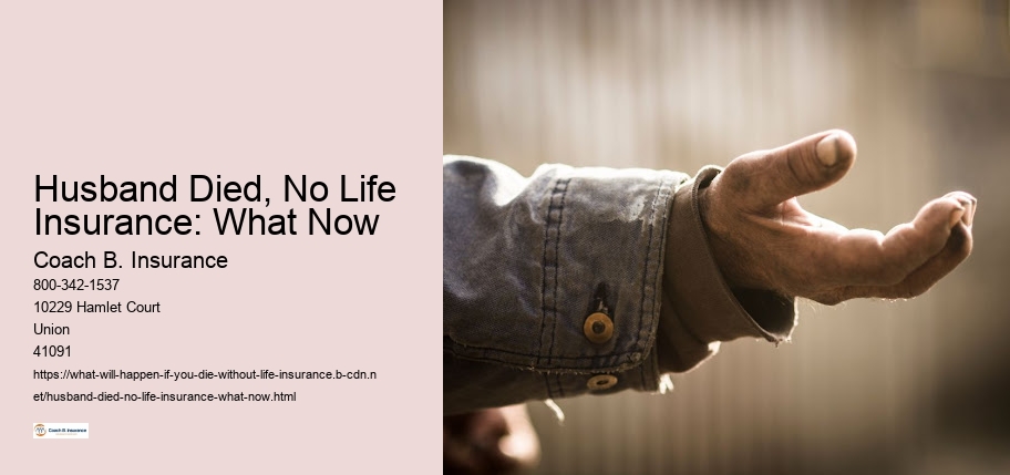 Husband Died, No Life Insurance: What Now